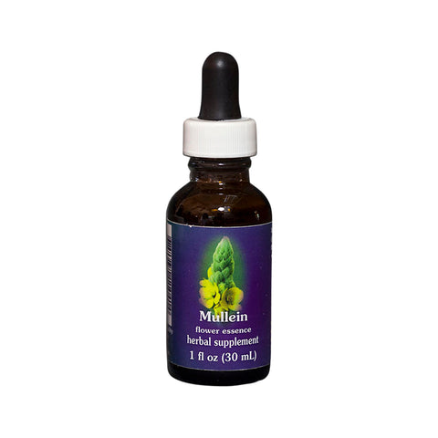 FES Org Flower Ess Quintessentials Mullein 30ml