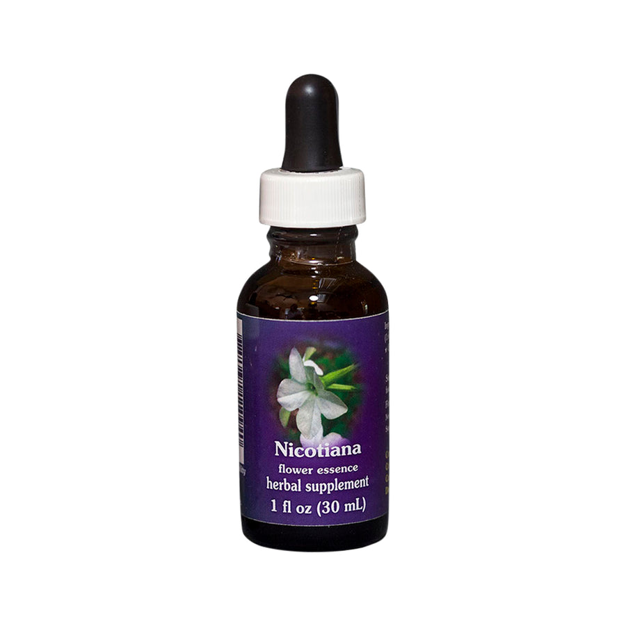 FES Org Flower Ess Quintessentials Nicotiana 30ml