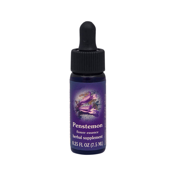 FES Org Flower Ess Quintessentials Penstemon 7.5ml