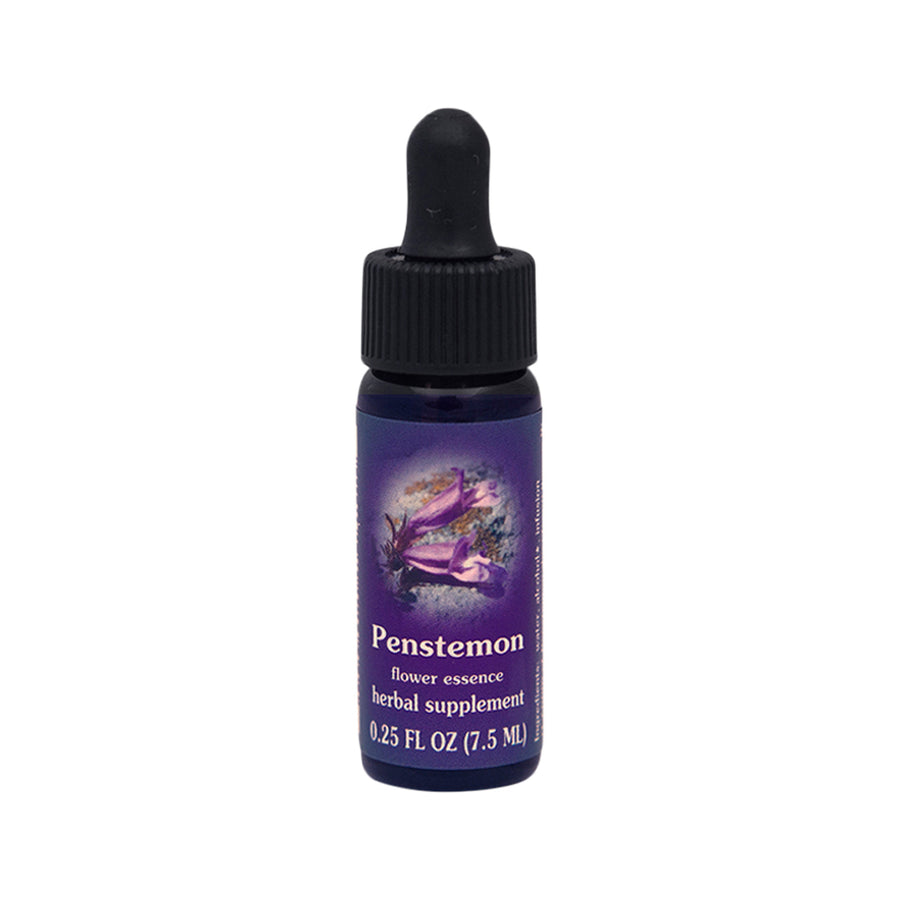 FES Org Flower Ess Quintessentials Penstemon 7.5ml