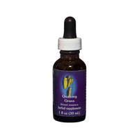 FES Org Flower Ess Quintessentials Quaking Grass 30ml