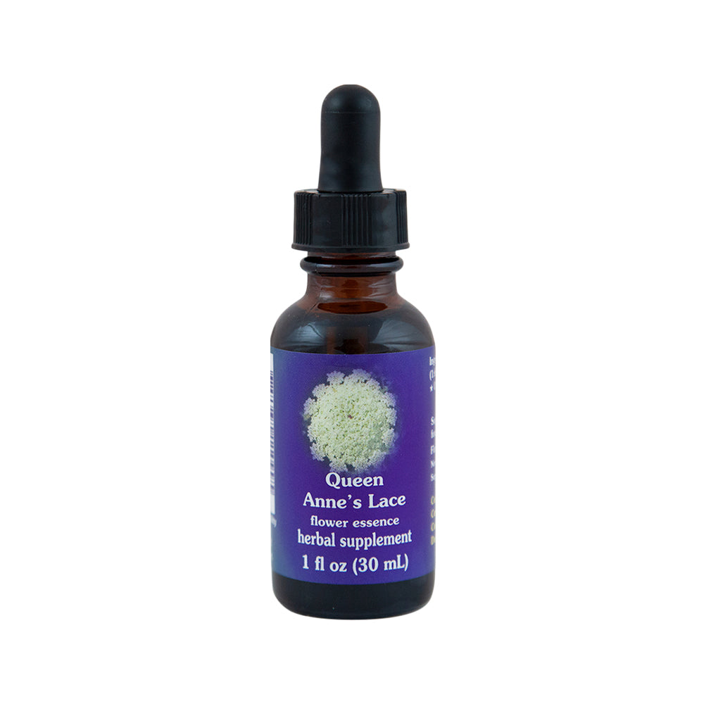 FES Org Flower Ess Quintessentials Queen Anne's Lace 30ml
