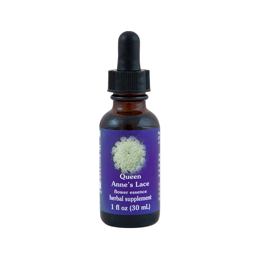 FES Org Flower Ess Quintessentials Queen Anne's Lace 30ml