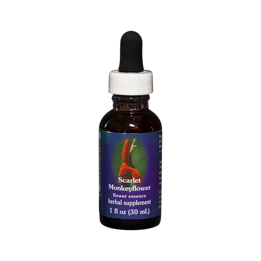 Scarlet Monkeyflower Flower Essence Herbal Supplement 30ml