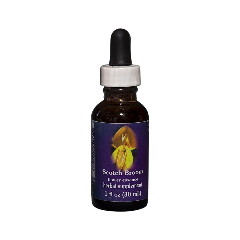 FES Org Flower Ess Quintessentials Scotch Broom 30ml