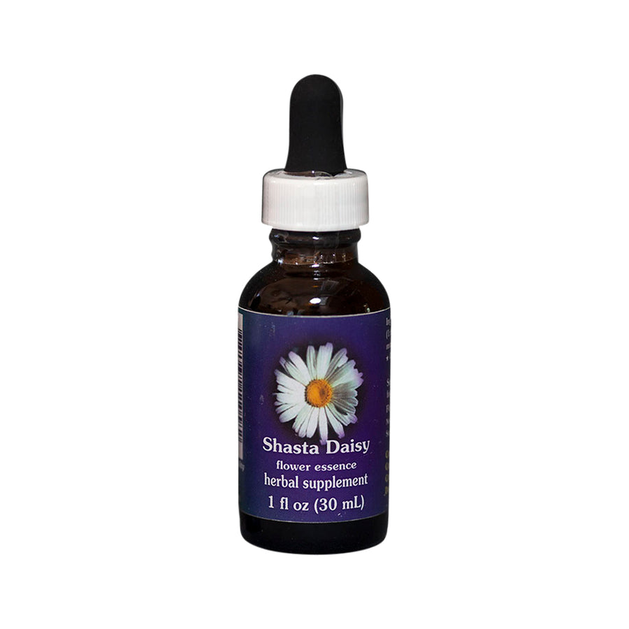 FES Organic Flower Essence Quintessentials Shasta Daisy 30ml