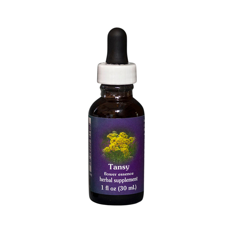 Tansy Flower Essence Herbal Supplement 30mL