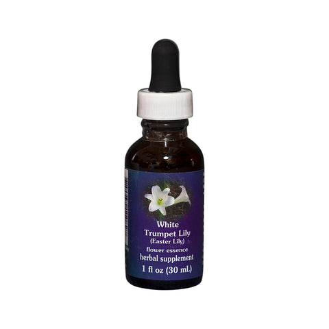 White Trumpet Lily Flower Essence Herbal Supplement 30mL