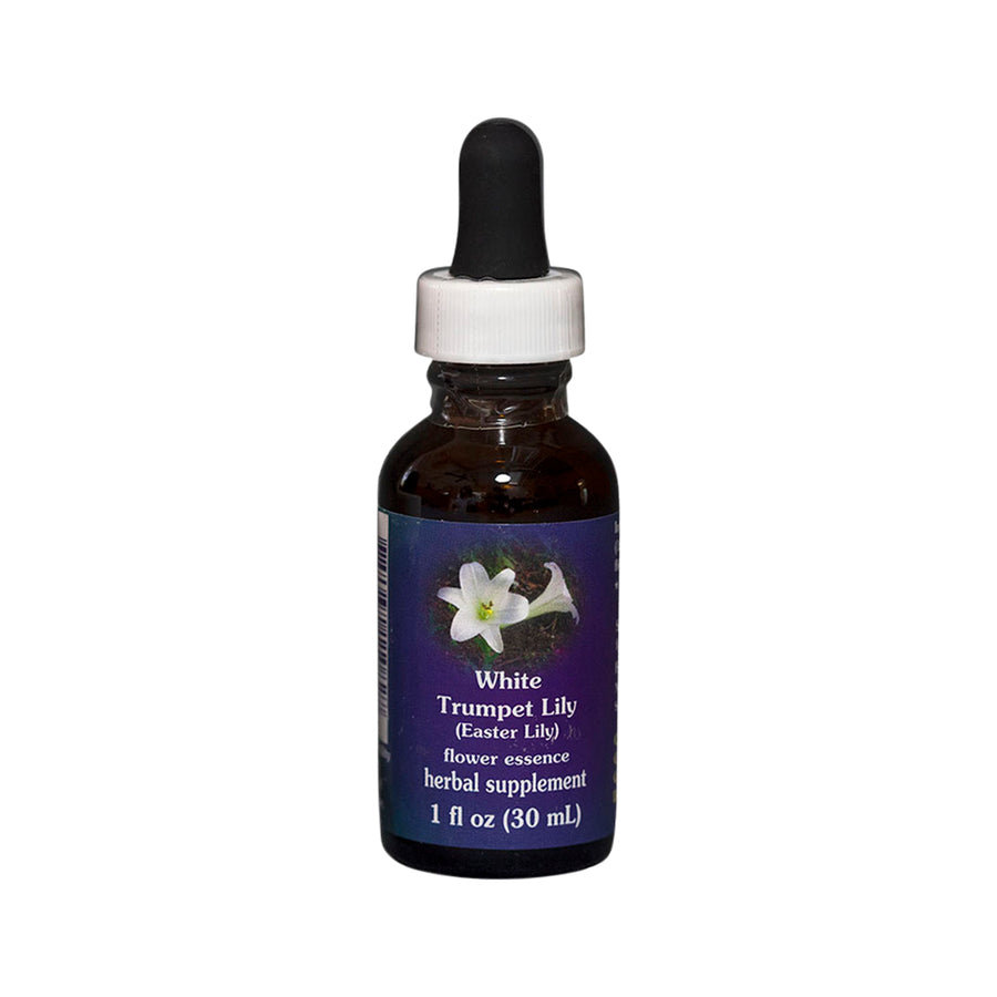 White Trumpet Lily Flower Essence Herbal Supplement 30mL