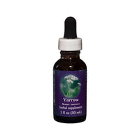 Yarrow Flower Essence Herbal Supplement 30mL