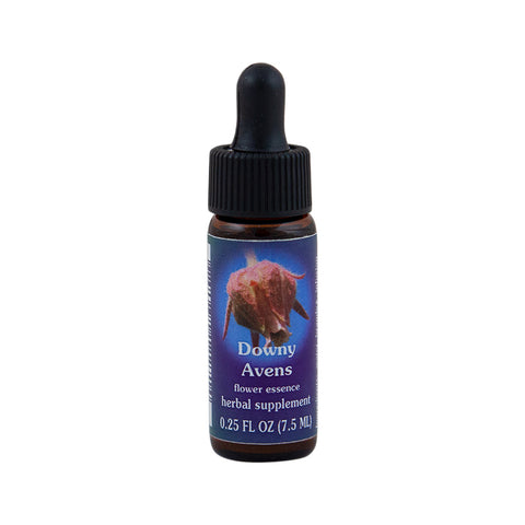 Downy Avens Flower Essence Herbal Supplement 7.5ml
