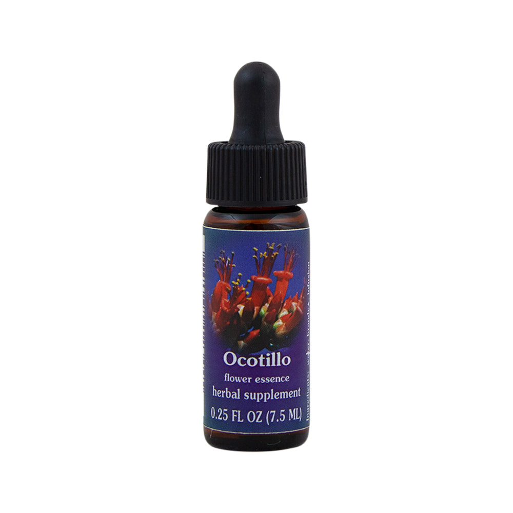 Ocotillo Flower Essence Herbal Supplement 7.5mL