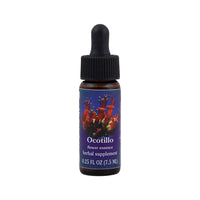 Ocotillo Flower Essence Herbal Supplement 7.5mL