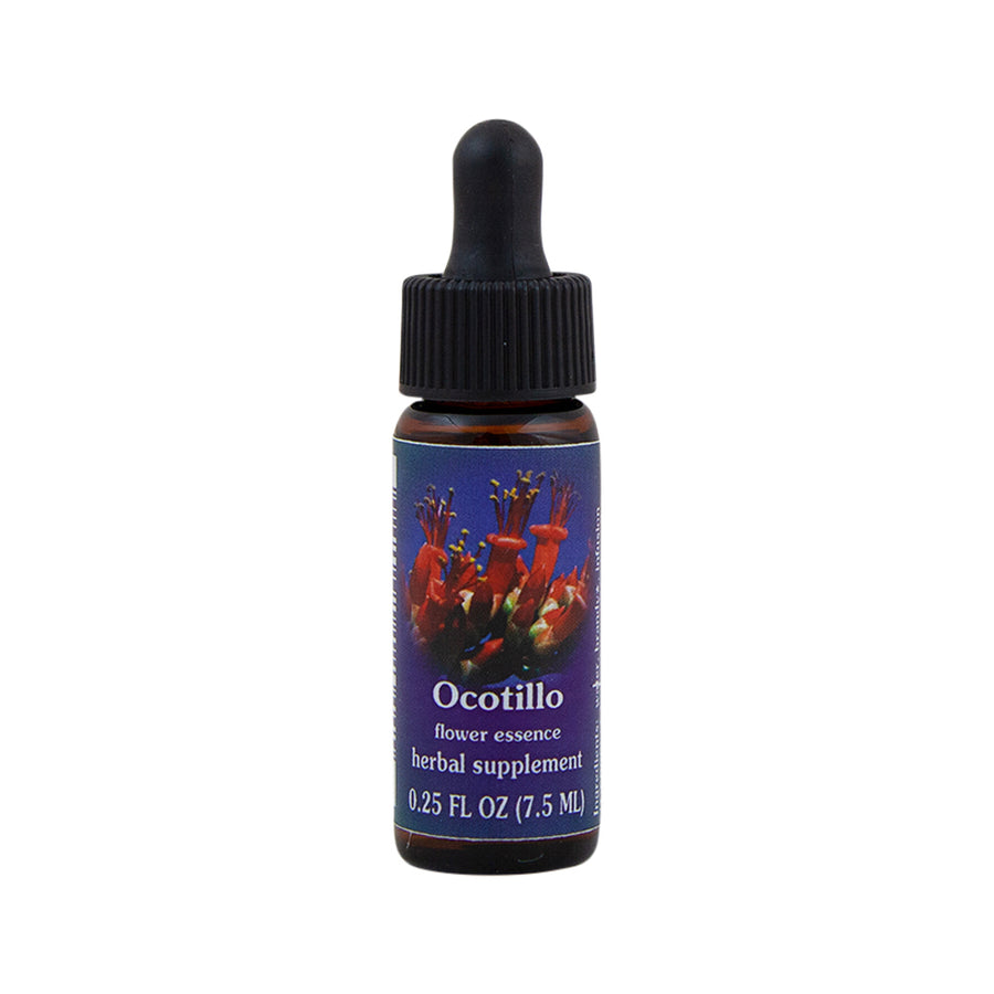 Ocotillo Flower Essence Herbal Supplement 7.5mL