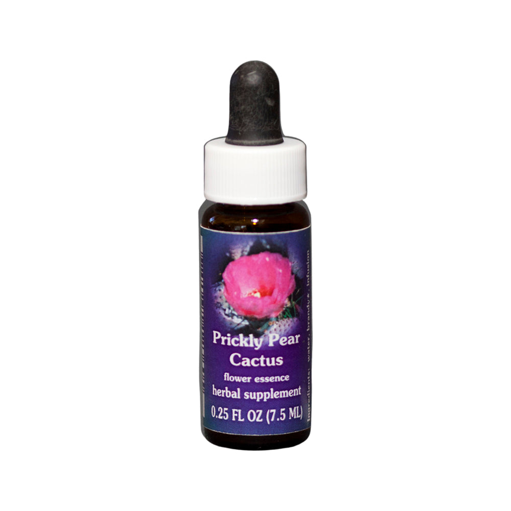 Prickly Pear Cactus Flower Essence Herbal Supplement 7.5mL