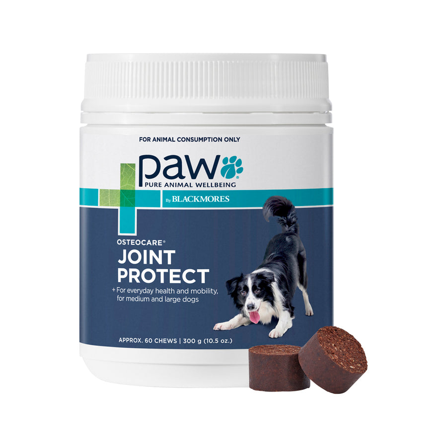 PAW OsteoCare Joint Protect (Dogs) 300g