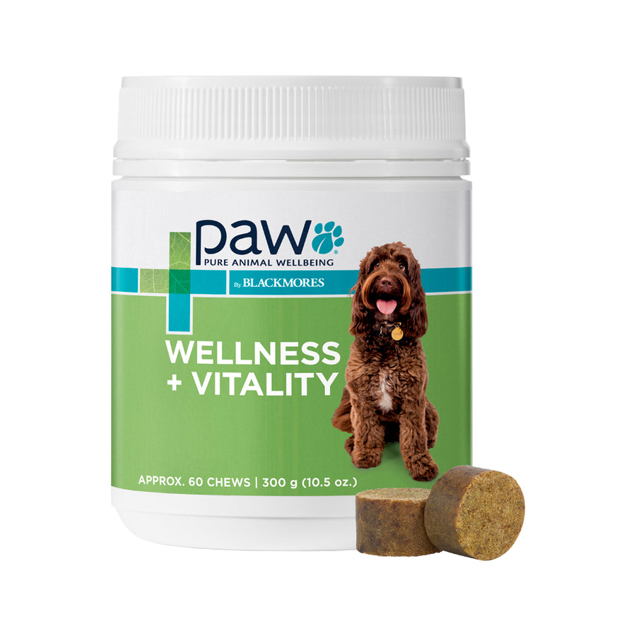 PAW Wellness Plus Vitality (Dog) 300g